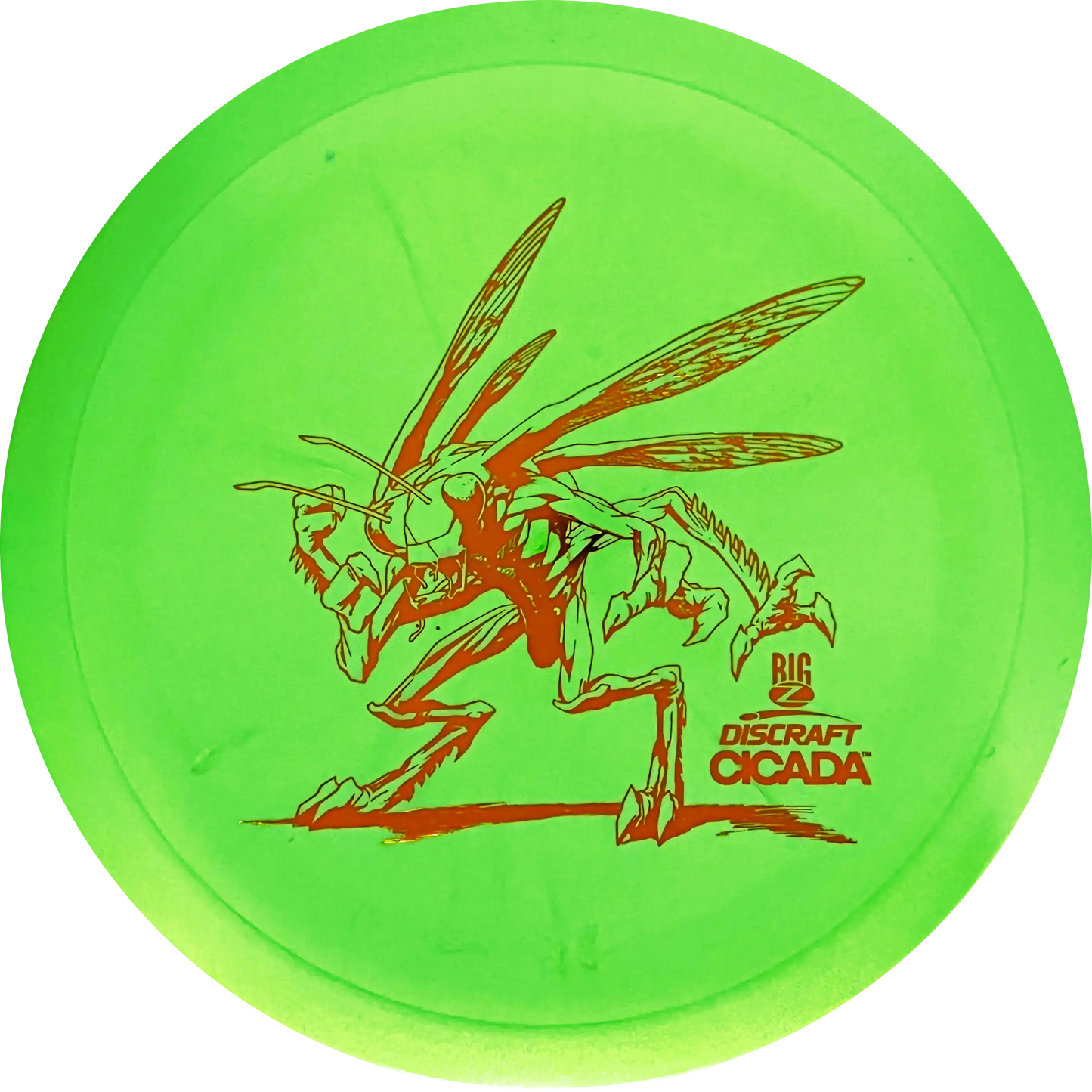 Big Z-Line Cicada