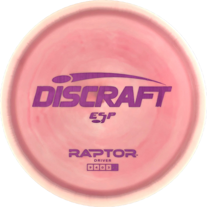 ESP Raptor