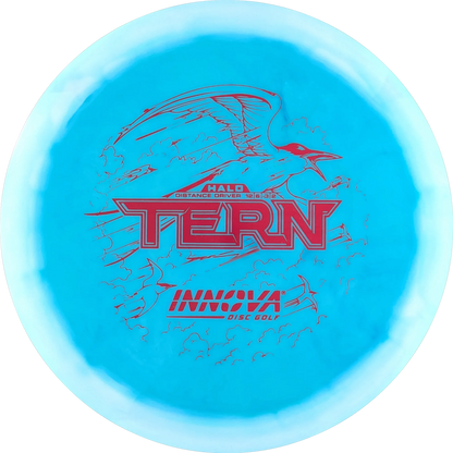 Halo Star Tern