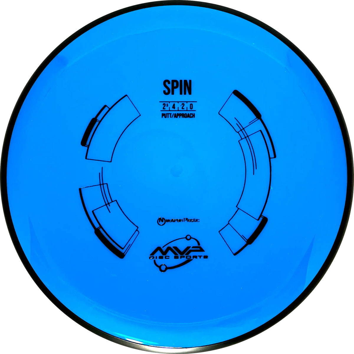 Neutron Spin