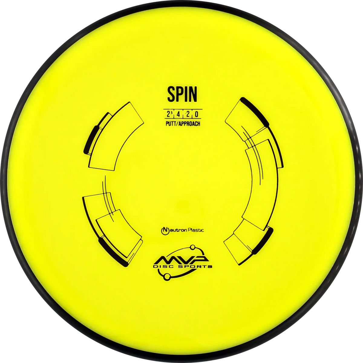 Neutron Spin