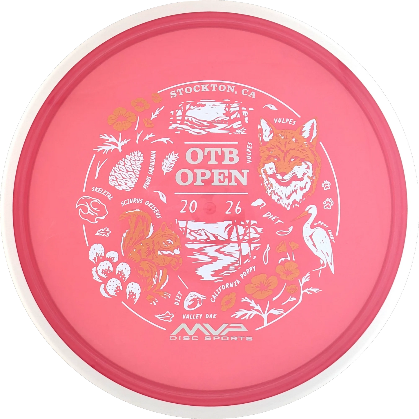 Proton 2026 OTB Open Reactor