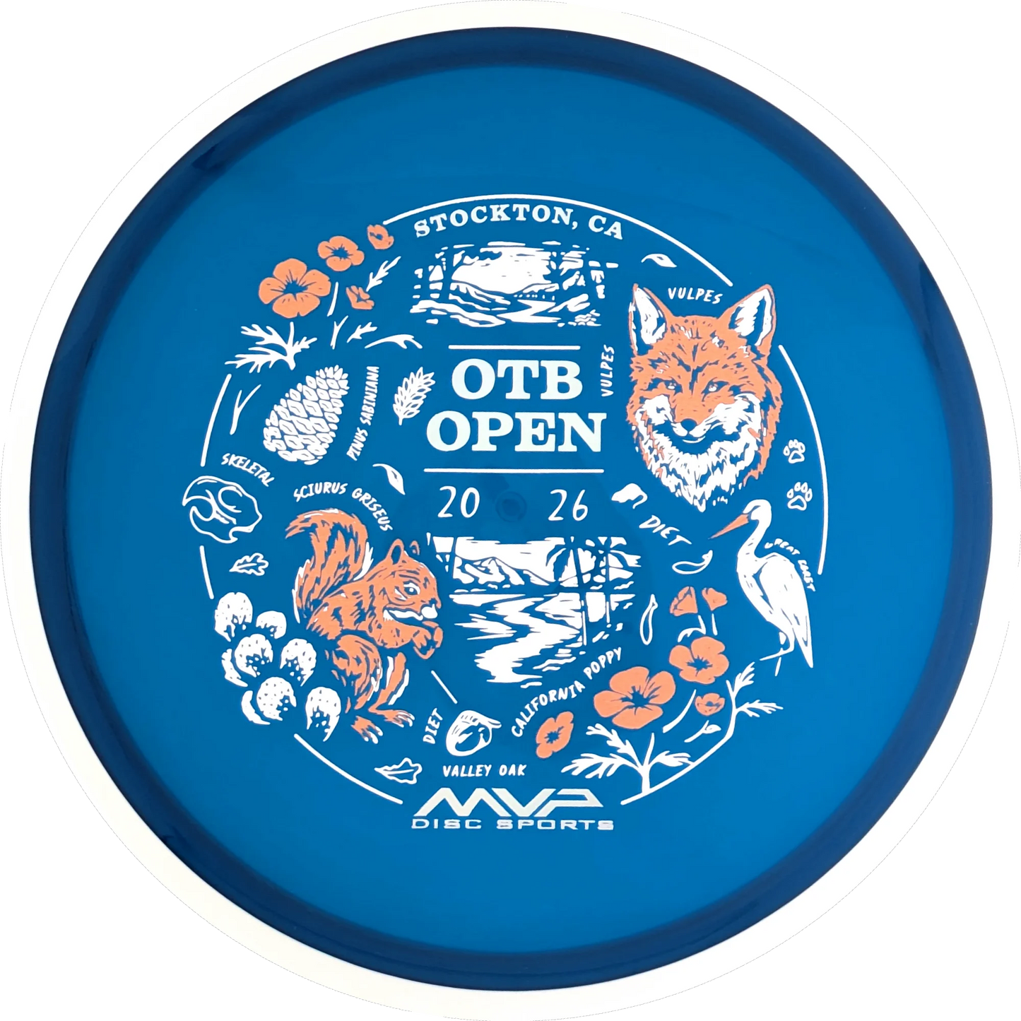 Proton 2026 OTB Open Reactor