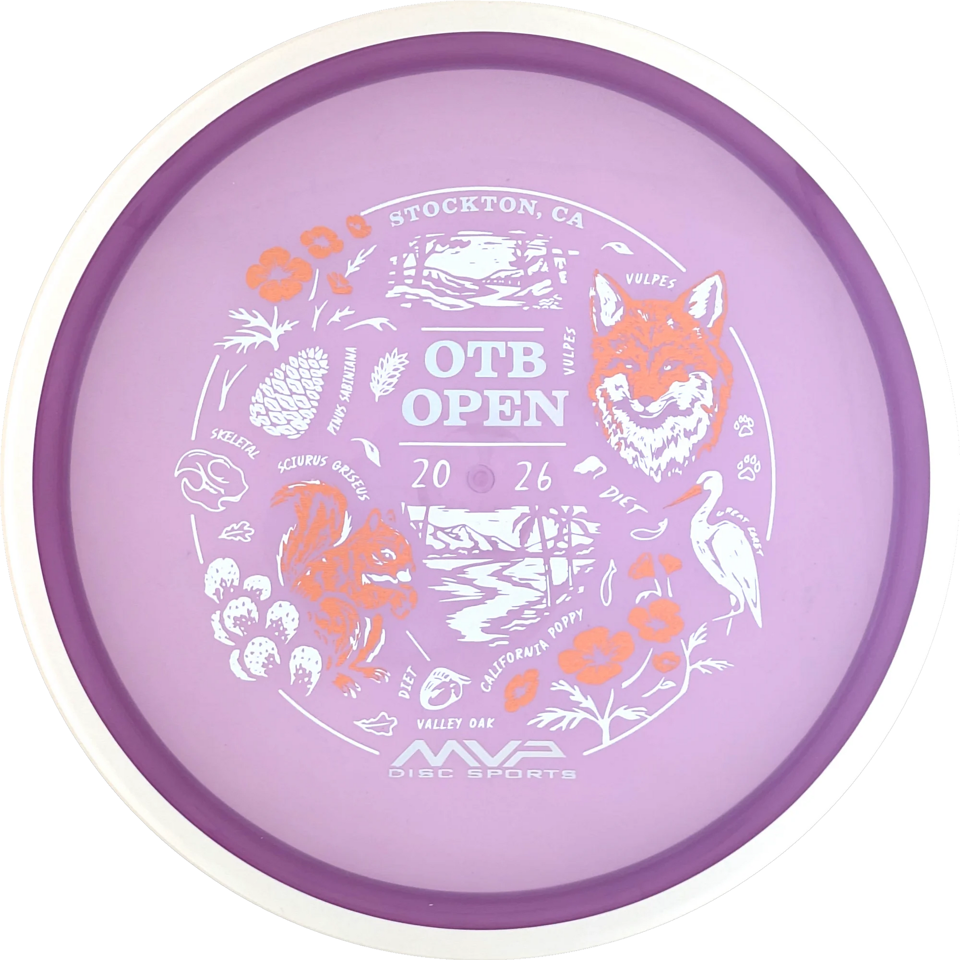 Proton 2026 OTB Open Reactor
