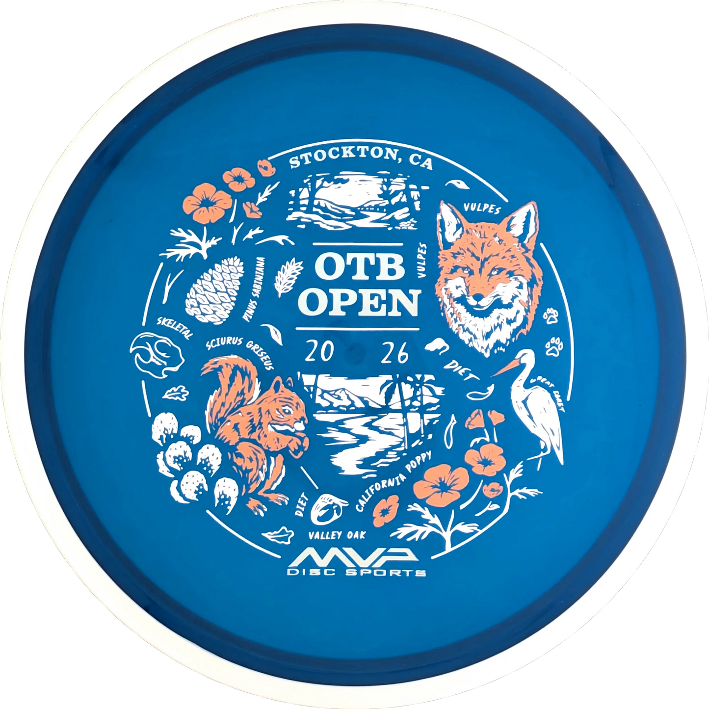 Proton 2026 OTB Open Reactor