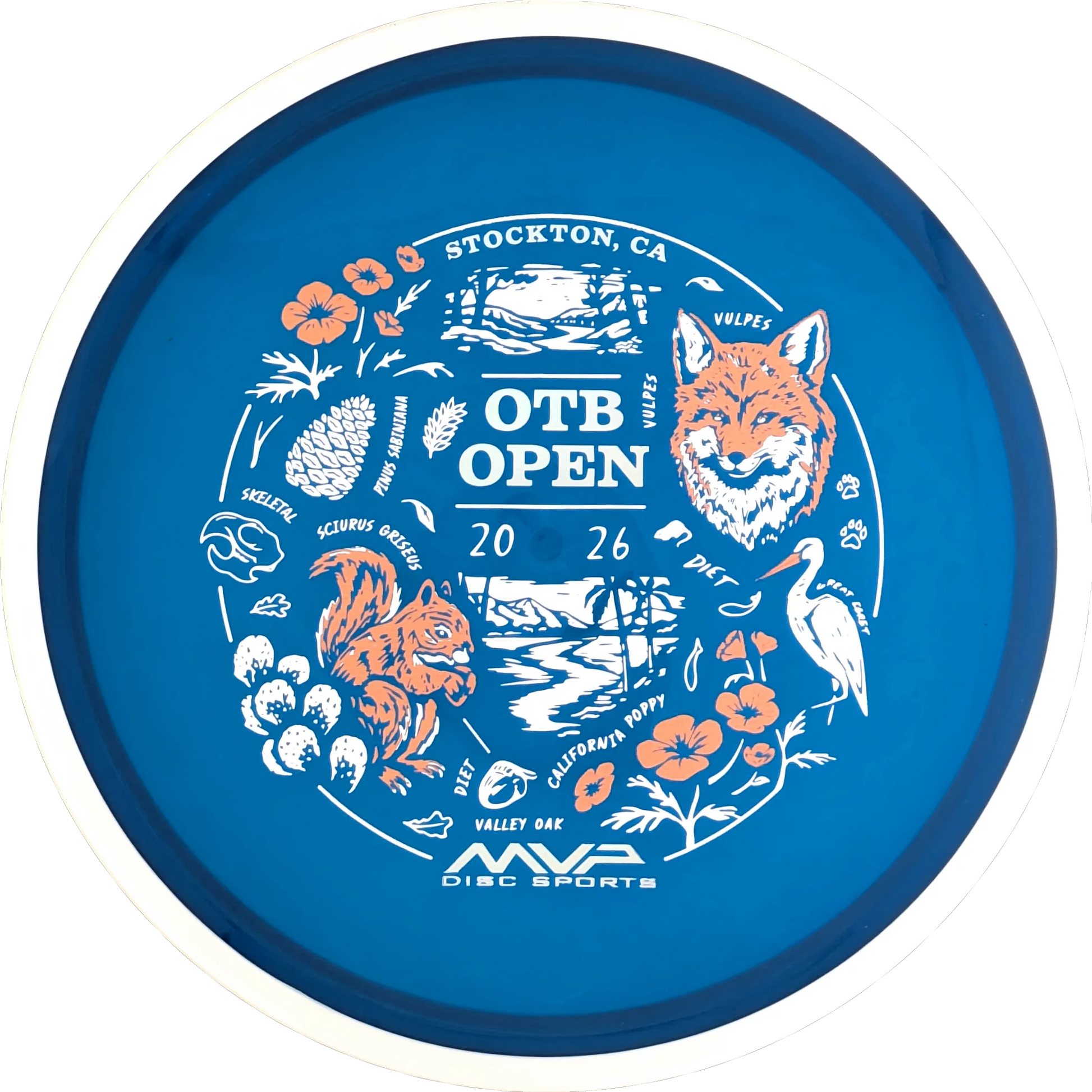 Proton 2026 OTB Open Reactor