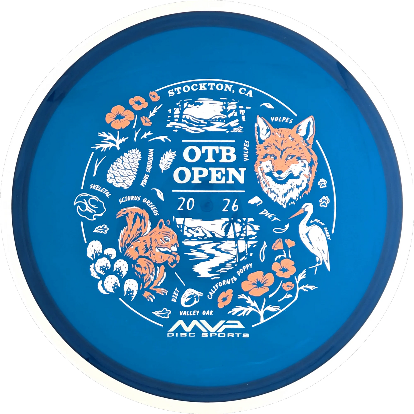 Proton 2026 OTB Open Reactor