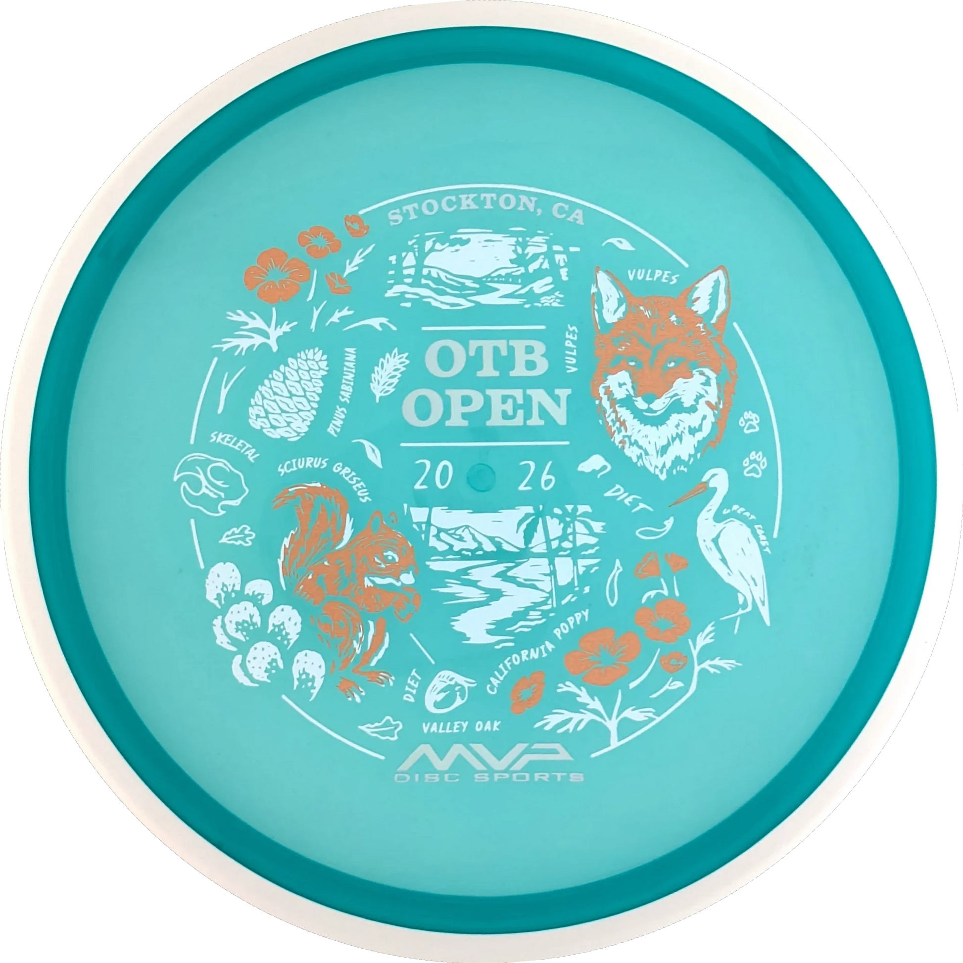Proton 2026 OTB Open Reactor