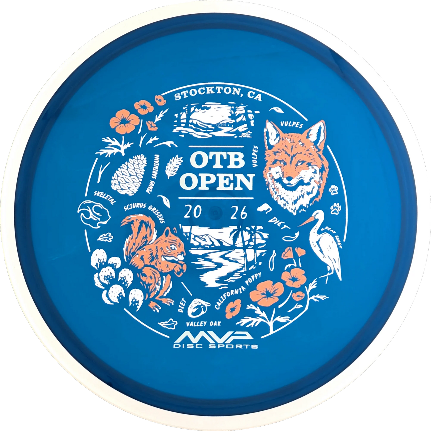 Proton 2026 OTB Open Reactor